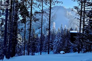 Commercial Land for Sale, 312 Ridge Road, Rossland, BC