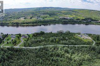 Property for Sale, Lot 2, 3 & 4 Cnr Road, Saint-Léonard, NB Property for Sale, Lot 2, 3 & 4 Cnr Road, Saint-Léonard, NB