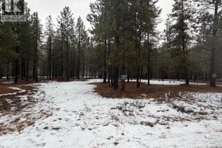 Commercial Land for Sale, 168 River Drive, Cranbrook, BC