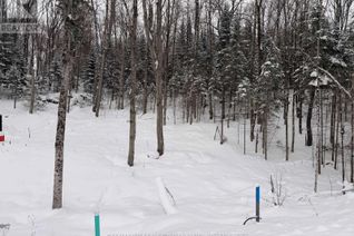 Property for Sale, Lot 23 Glen Eagle Court, Huntsville (Chaffey), ON