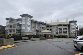 Condo Apartment for Sale, 10533 University Drive #102, Surrey, BC Condo Apartment for Sale, 10533 University Drive #102, Surrey, BC