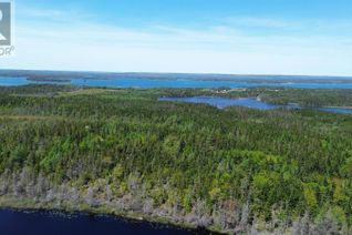Land for Sale, 320 Highway, D'Escousse, NS