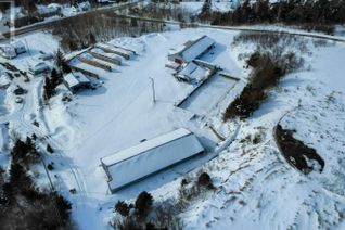Farm for Sale, 921 Smith Sound Road, Harcourt, NL
