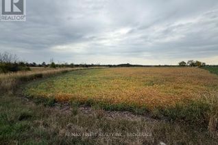 Commercial Land for Sale, 208a Drive In Road, Greater Napanee (Greater Napanee), ON