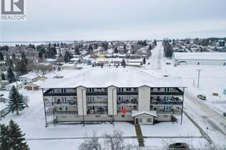 Condo for Sale, 201 220 Mccallum Avenue, Birch Hills, SK