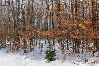 Commercial Land for Sale, 00 Siberia Road, Madawaska Valley, ON