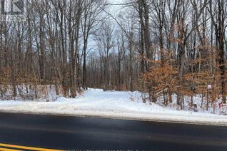 Commercial Land for Sale, 01 Siberia Road, Madawaska Valley, ON