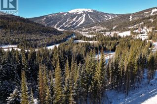 Land for Sale, Lot 10 Mcgillivray Lake Drive, Sun Peaks, BC