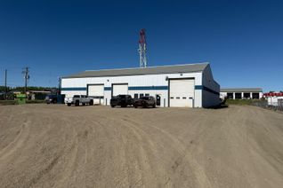 Industrial Property for Sale, 5202 62 Street, Rural Brazeau County, AB