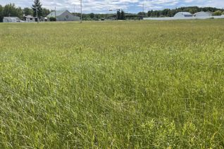 Property for Sale, 5002 50 Street, Rural Brazeau County, AB