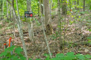 Property for Sale, 0 Rosseau Lake Rd 1, Muskoka Lakes (Watt), ON