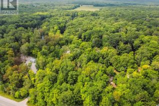 Land for Sale, 7012 County Road 169, Ramara, ON