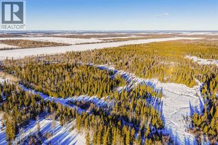 Commercial Farm for Sale, Se-13-81-10-W6 Twp Rd 812, Rural Saddle Hills County, AB