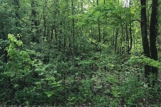 Property for Sale, 0 Graham Lake Road, Front of Yonge, ON Property for Sale, 0 Graham Lake Road, Front of Yonge, ON