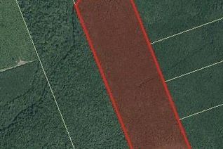 Property for Sale, Lot Emerson (Back) Road, Beersville, NB