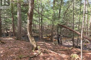 Property for Sale, 0 Crest Avenue, Heathland, NB Property for Sale, 0 Crest Avenue, Heathland, NB