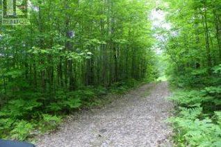 Property for Sale, 50 Acres In Muskoka North Of Bala - Pcl 31045, Muskoka Lakes (Medora), ON