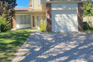 Detached House for Rent, 197 Goldhawk Trail #Bsmt, Toronto (Milliken), ON Detached House for Rent, 197 Goldhawk Trail #Bsmt, Toronto (Milliken), ON
