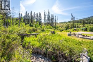 Commercial Land for Sale, 135 Secret Creek Place, Princeton, BC