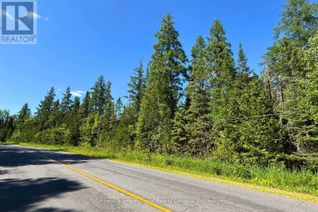 Land for Sale, 0- P1 Highway 518 W, McMurrich/Monteith (McMurrich), ON