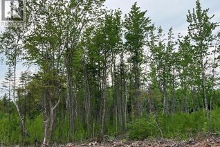 Commercial Land for Sale, 24-03 Chultun Court, Lower Coverdale, NB