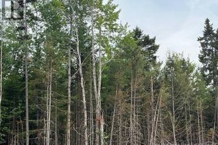 Commercial Land for Sale, Lot 24-05 Chultun Court, Lower Coverdale, NB