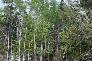 Commercial Land for Sale, 24-02 Chultun Court, Lower Coverdale, NB
