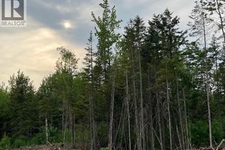 Commercial Land for Sale, 24-01 Chultun Court, Lower Coverdale, NB Commercial Land for Sale, 24-01 Chultun Court, Lower Coverdale, NB