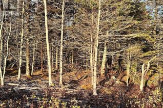 Commercial Land for Sale, Lot 9 Shore Road, Western Head, NS