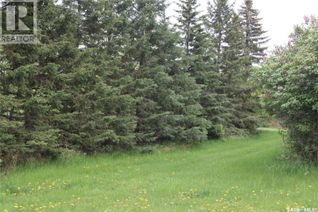 Commercial Land for Sale, 730 Broadway Street W, Orkney Rm No. 244, SK