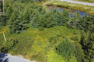 Property for Sale, 4-22 Penney's Hill Road, Victoria, NL