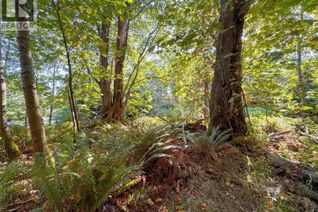 Property for Sale, Lot 7 The Strand, Gabriola Island, BC Property for Sale, Lot 7 The Strand, Gabriola Island, BC