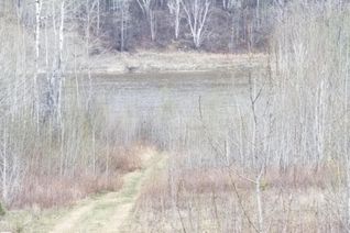 Land for Sale, 5 221048 Twp Rd 670, Rural Athabasca County, AB