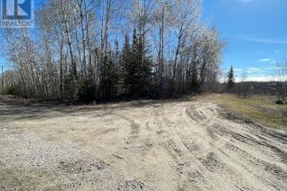 Commercial Land for Sale, 199 Lakeview Rd, Dryden, ON