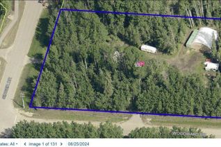 Property for Sale, 164 Singer, Anzac, AB