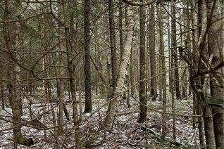 Property for Sale, Lot 26-3 Backland Road, Kingston, NB