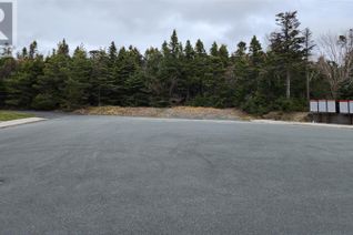 Commercial Land for Sale, 41 Marconi Place, St. John's, NL