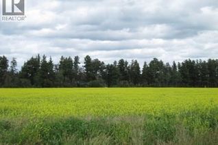 Commercial Land for Sale, Lot 10 Parcel 3.55 Acres, Nipawin Rm No. 487, SK