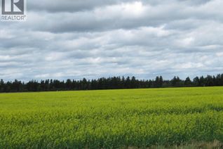 Commercial Land for Sale, Lot 13 Parcel 3.53 Acres, Nipawin Rm No. 487, SK