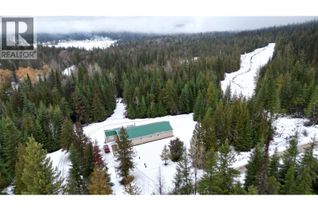 Property for Sale, 1925 Mcdaniels Road, Castlegar, BC Property for Sale, 1925 Mcdaniels Road, Castlegar, BC