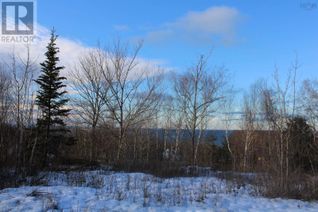 Property for Sale, Parker Mountain Road, Parkers Cove, NS