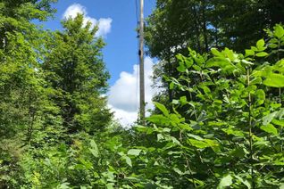 Property for Sale, 000 Blanchards Road, Kawartha Lakes (Bexley), ON Property for Sale, 000 Blanchards Road, Kawartha Lakes (Bexley), ON
