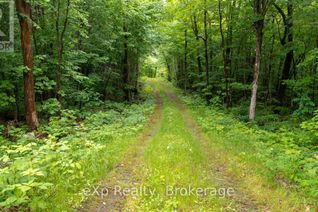 Commercial Land for Sale, 3 Kingfisher Road, McDougall, ON