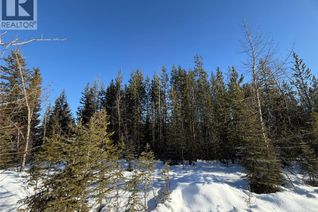 Commercial Land for Sale, 2 Dallas Place, Elkford, BC