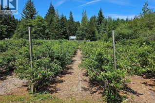 Commercial/Retail Property for Sale, 2156 Coleman Rd, Courtenay, BC Commercial/Retail Property for Sale, 2156 Coleman Rd, Courtenay, BC