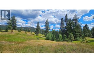Land for Sale, Dl 311s Nicholson Creek Road #Lot A, Rock Creek, BC