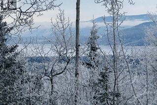 Commercial Land for Sale, Lot A Bald Hill Road, Burns Lake, BC