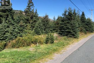 Commercial Land for Sale, 161 Seaforest Drive, Cupids, NL