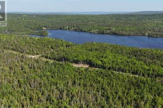 Property for Sale, Lot 18 Highway 4, False Bay, NS