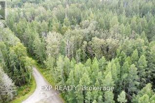 Commercial Land for Sale, Lot B Chippawa Road, Madawaska Valley, ON